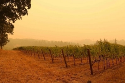 Poluição de incêndios florestais na Califórnia matou 52.000 pessoas em 10 anos, diz estudo