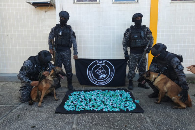 PM apreende mais de 900 pinos de cocaína na Região dos Lagos