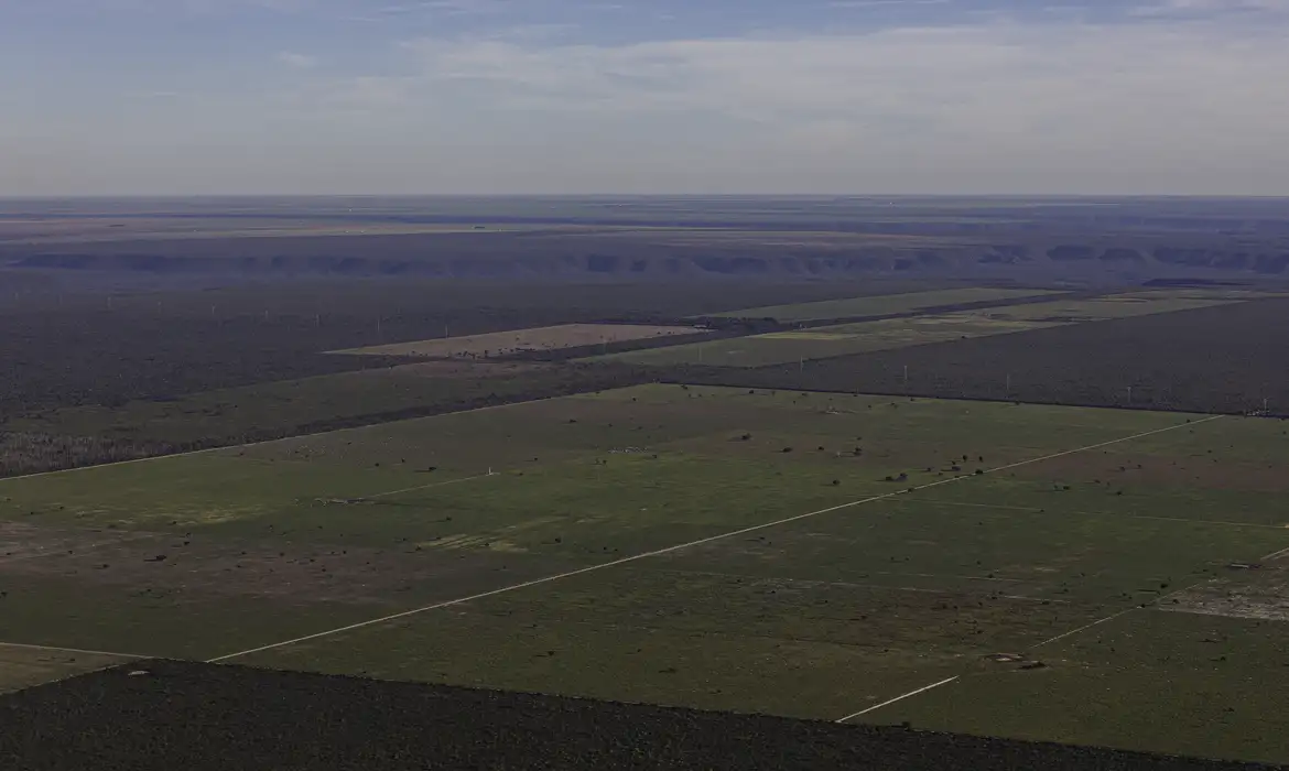 Em meio à expansão do desmatamento, Piauí debate nova lei ambiental