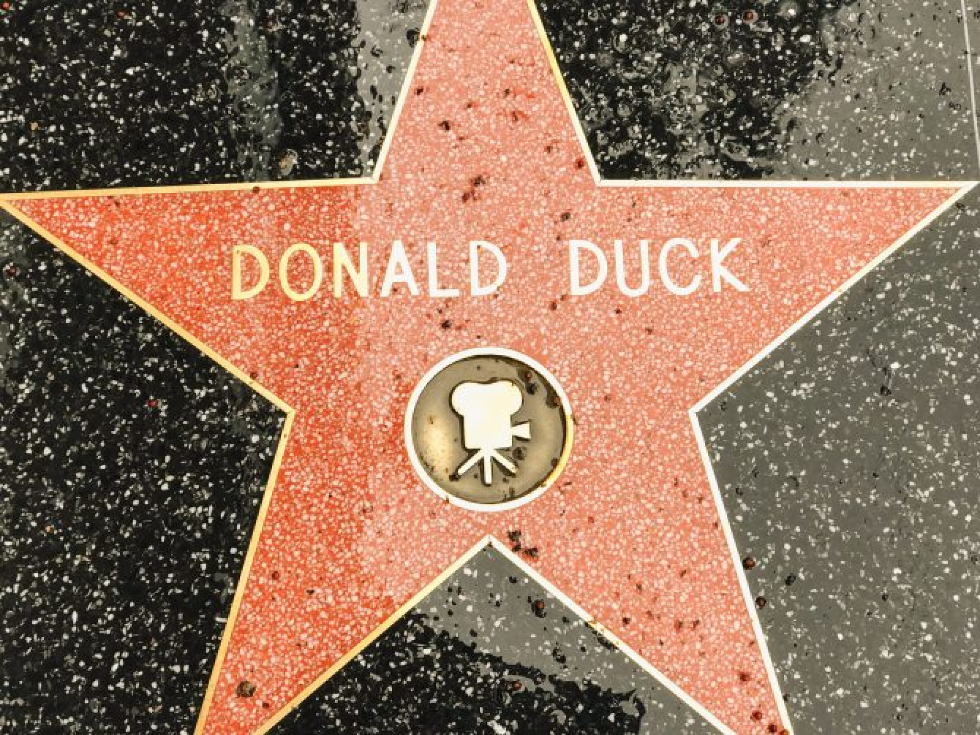 Donald possui uma estrela na Calçada da Fama de Hollywood - Reprodução / The Healthy Mouse