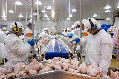 Estudo registra queda de 11% no volume de exportações de frango do RS por causa das enchentes