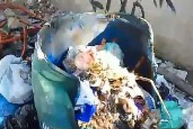 Prefeitura de Arraial do Cabo divulga nota repudiando atos de vandalismo na cidade