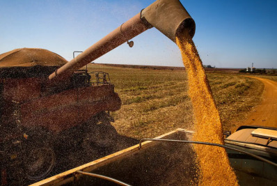 Brasil encerra colheita da soja 2023/24, diz Conab