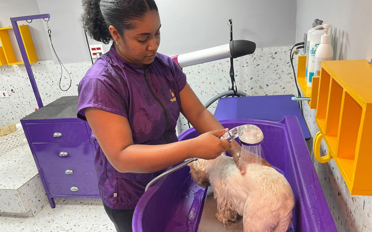 Tosa e Banho na Yogapetz - Arquivo pessoal/Marcia Abbade