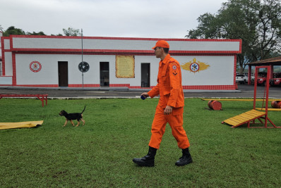 Nova mascote do Corpo de Bombeiros tem nome escolhido após votação popular