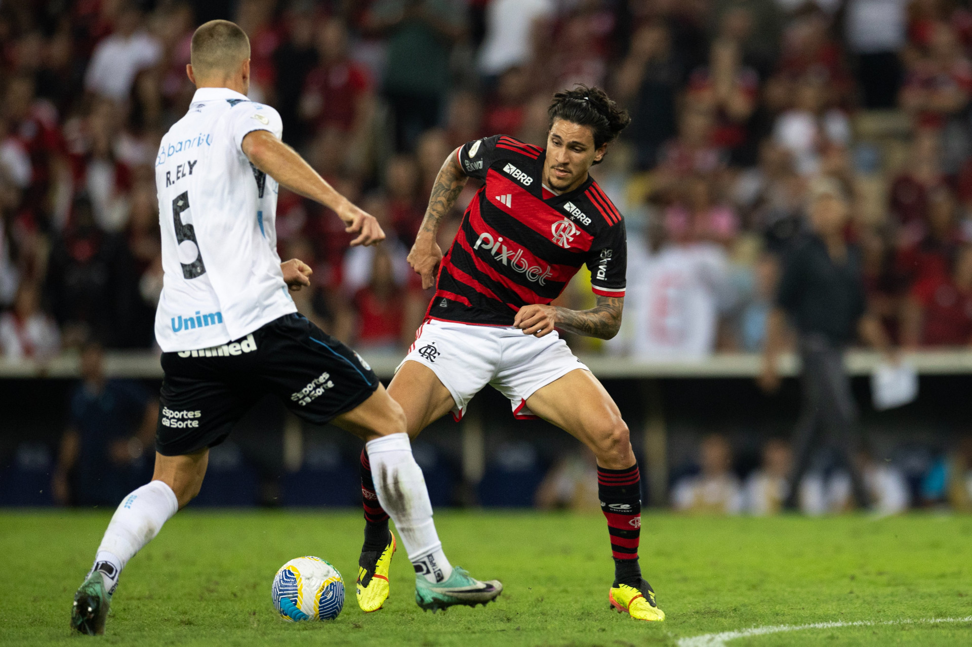 Pedro deu duas assistências na vitória do Flamengo sobre o Grêmio - Thais Magalhães/CRF