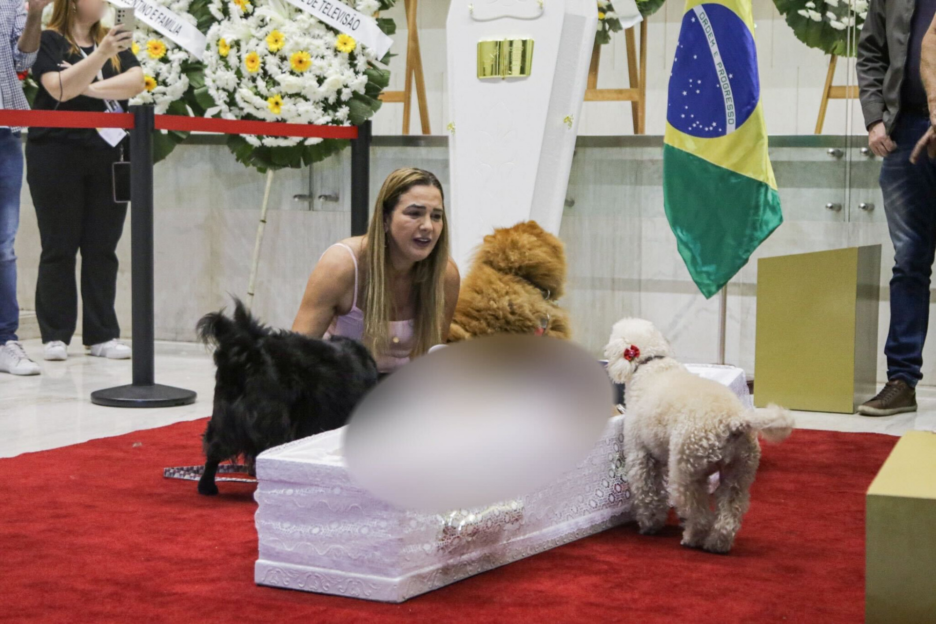 Caixão é colocado no chão em velório para cachorros se despedirem de Nahim - Leo Franco / Agnews
