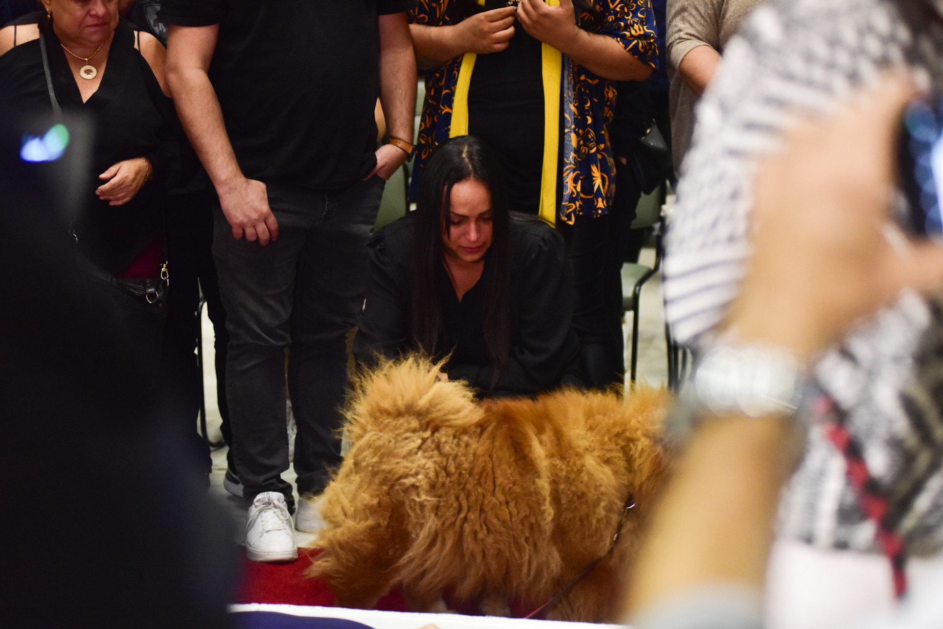 Cachorro se despede de Nahim em velório na Alesp - Leo Franco / Agnews