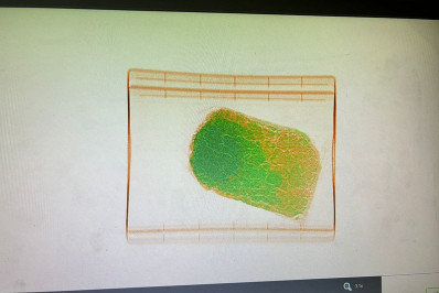 Receita apreende cocaína avaliada em R$ 376 mil no Galeão