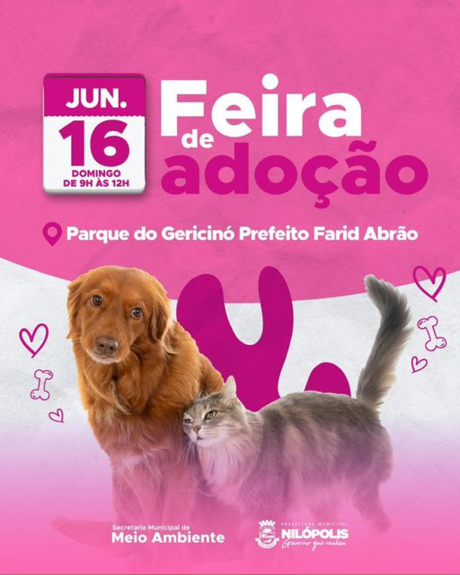 Feira de Adoção de Animais de Nilópolis - Divulgação / PMN