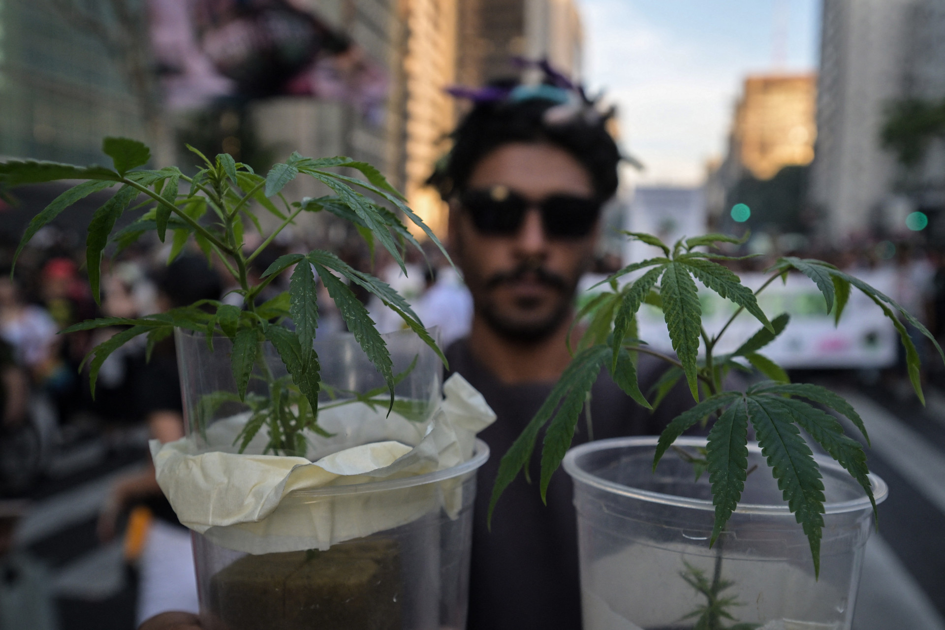 Manifestação pela legalização da maconha em SP no domingo (16) - Nelson Almeida / AFP
