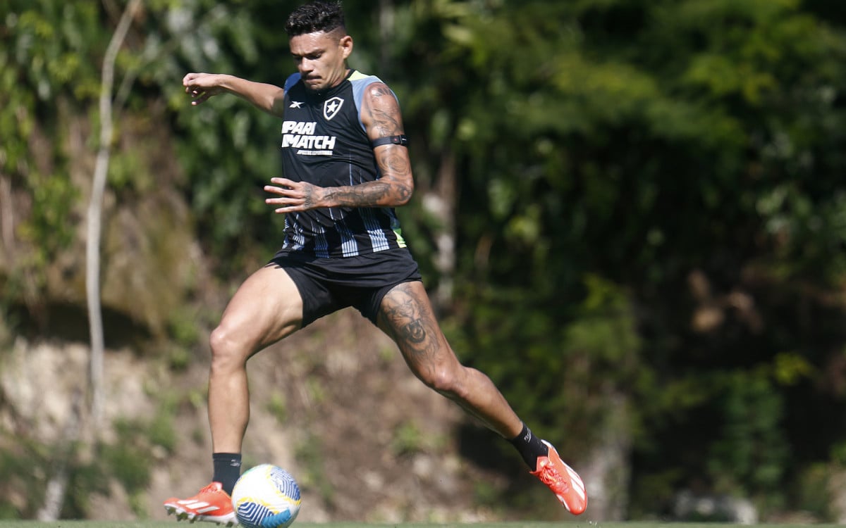 Tiquinho Soares não marca há quase dois meses - Vitor Silva / Botafogo