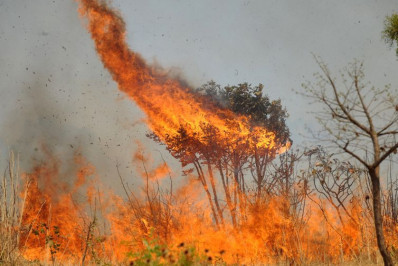 Quase 1/4 do território brasileiro pegou fogo nos últimos 40 anos