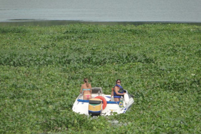 Algas cobrem Rio Tietê e impedem navegação, turismo e pesca no interior de SP