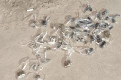 Polícia Militar prende criminoso e apreende drogas em Cabo Frio