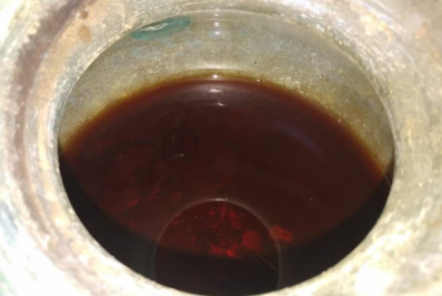 Pesquisadores afirmam ter encontrado o vinho mais antigo do mundo