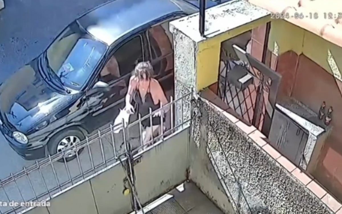 Câmera flagra agressão cometida por vizinha contra a psicóloga Mônica Mesquita - Reprodução