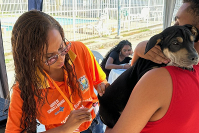 Campanha de vacina Antirrábica imuniza mais de 200 cães e gatos em Belford Roxo