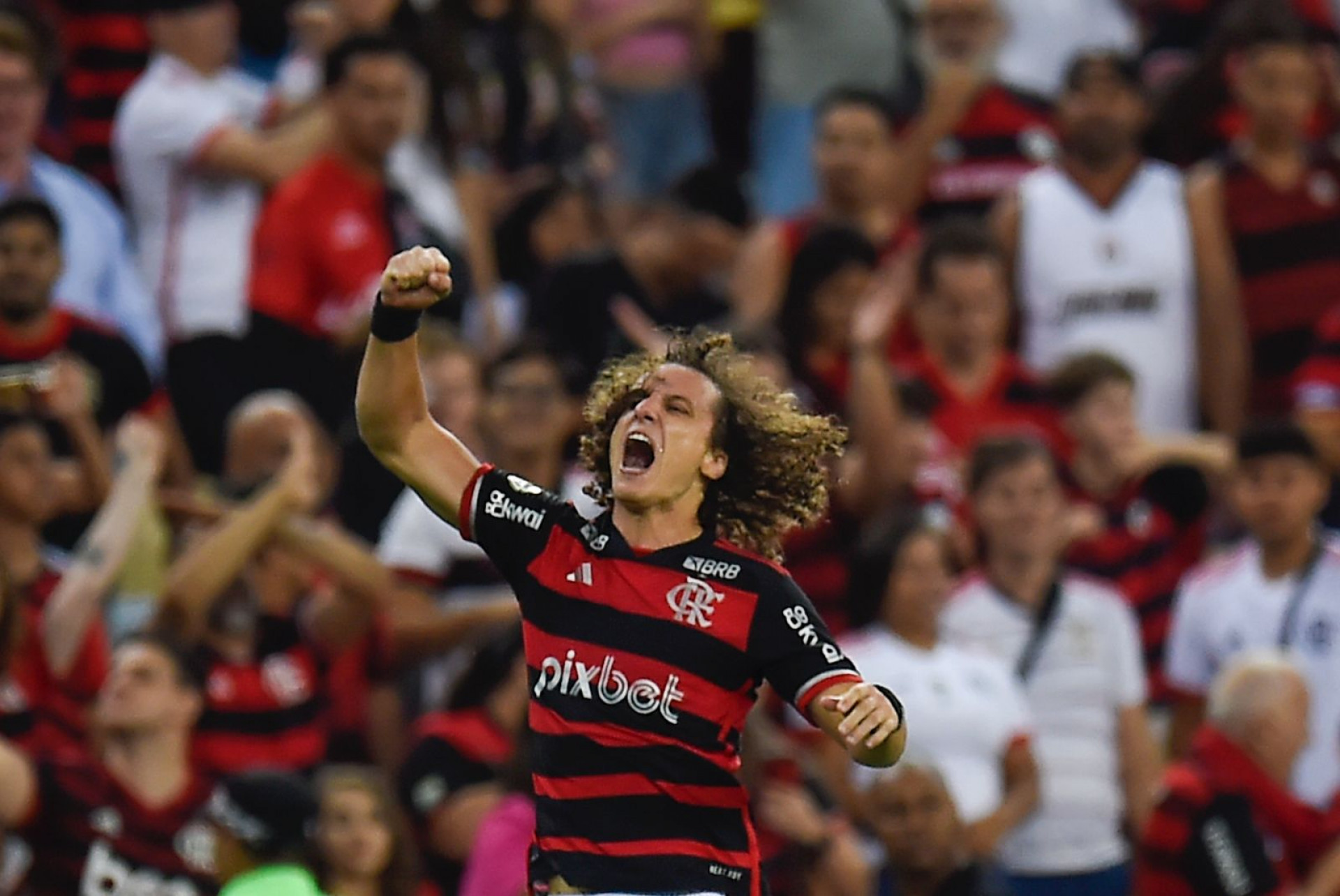 Vibração de David Luiz - Marcelo Cortes/Flamengo