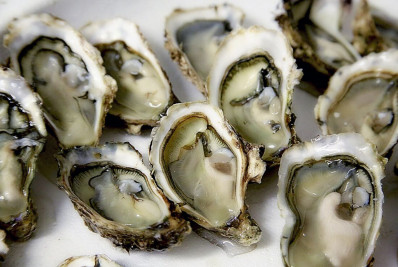 Cientistas 'caçam' microplásticos em ostras e mexilhões pelo Brasil