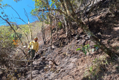 Depois de 9 dias fechada, visitação da Parte Alta do Parque Nacional do Itatiaia é reaberta