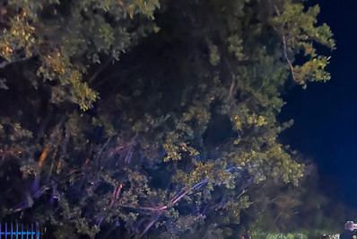 Mais de 100 migrantes haitianos chegam à costa da Flórida