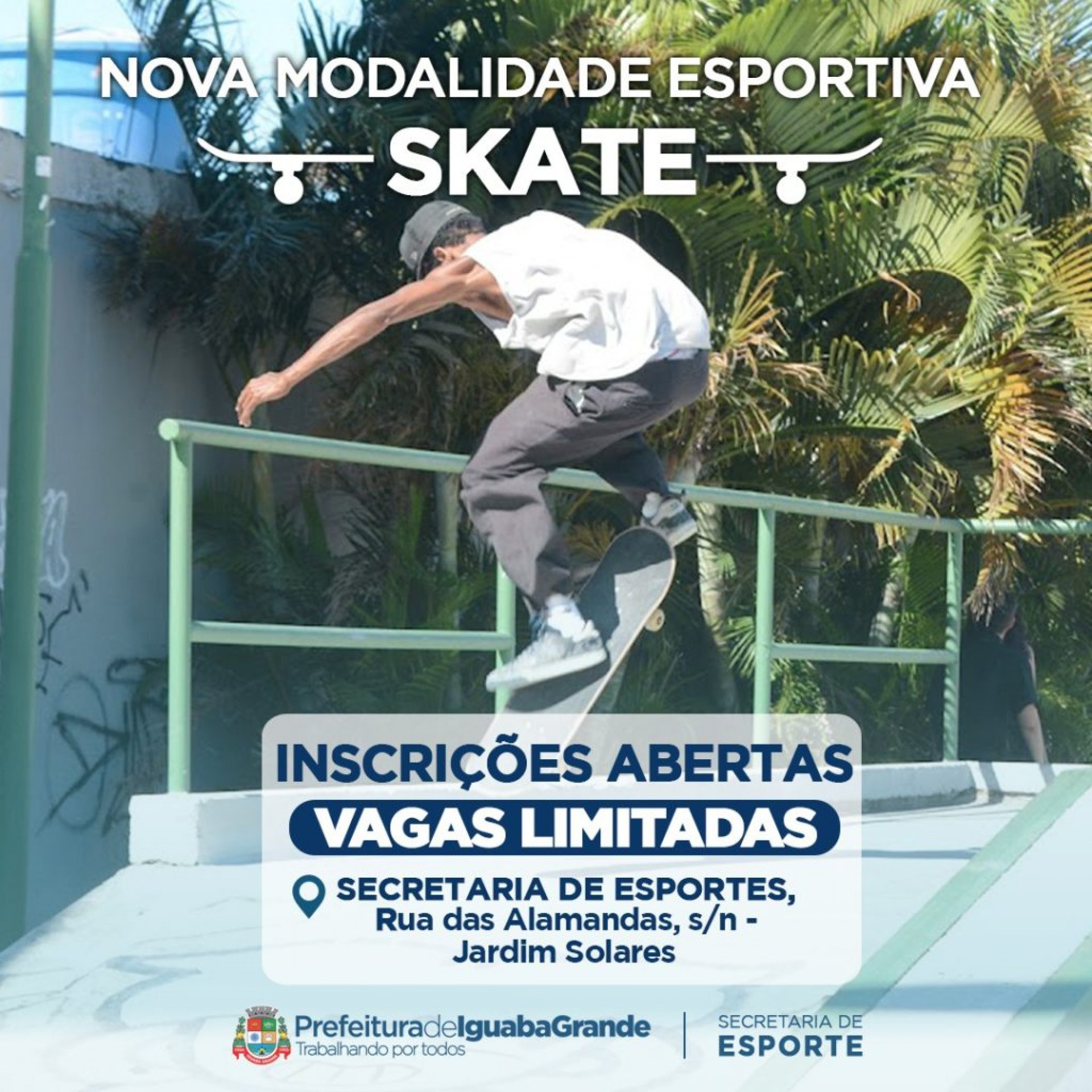 Programa&ccedil;&atilde;o  - Divulga&ccedil;&atilde;o 