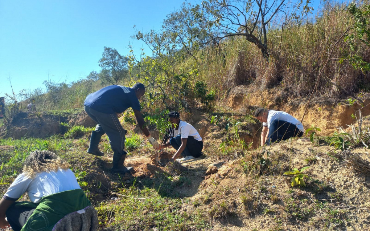 Prática de reflorestamento, com mais de 40 novas árvores plantadas no Monte Guararapes