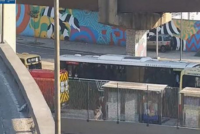 Mulher é atropelada por ônibus na Avenida Brasil