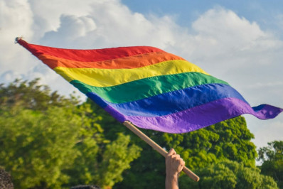 Dia do Orgulho LGBTQIA+: conheça alguns dos principais marcos do movimento no Brasil