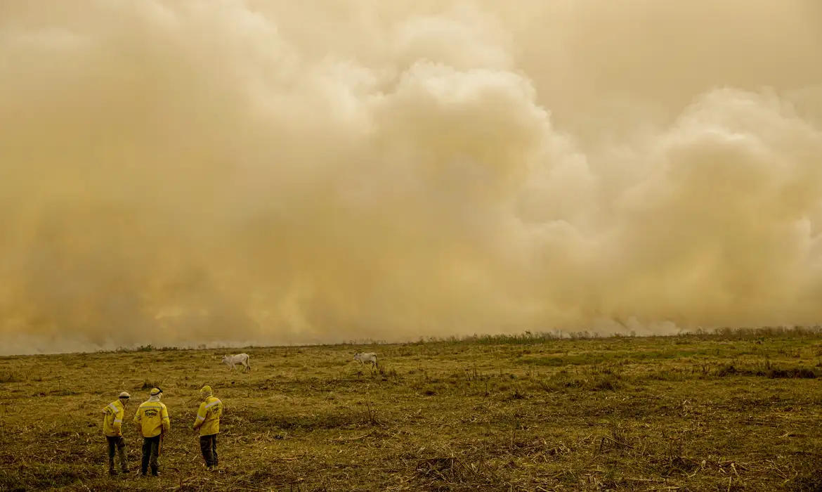 Queimada no Pantanal persiste mesmo após proibição de manejo do fogo