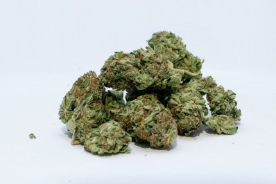 Congresso pode derrubar critério de 40g sobre descriminalização da maconha