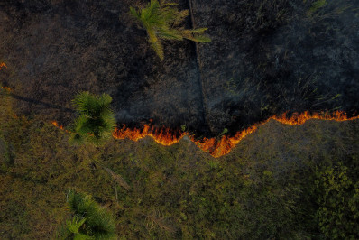 Chuva preta: fuligem da queimada da Floresta Amazônica atinge o Rio Grande do Sul