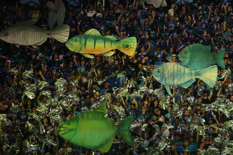 Boi Caprichoso na segunda noite do Festival de Parintins 2024 - Fernando Frazão/Agência Brasil