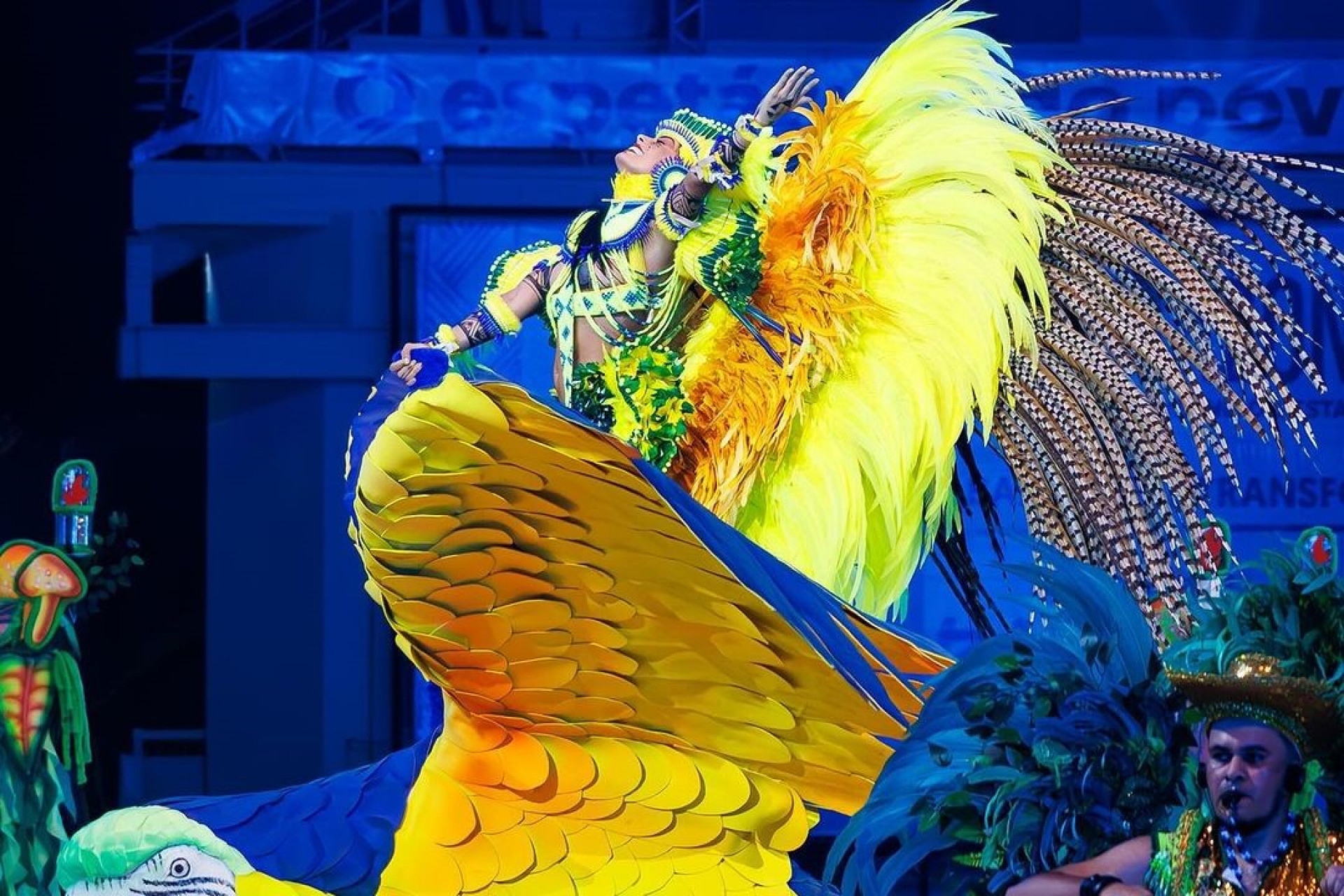 Marciele Albuquerque comemora vitória do Caprichoso  - Reprodução / Instagram