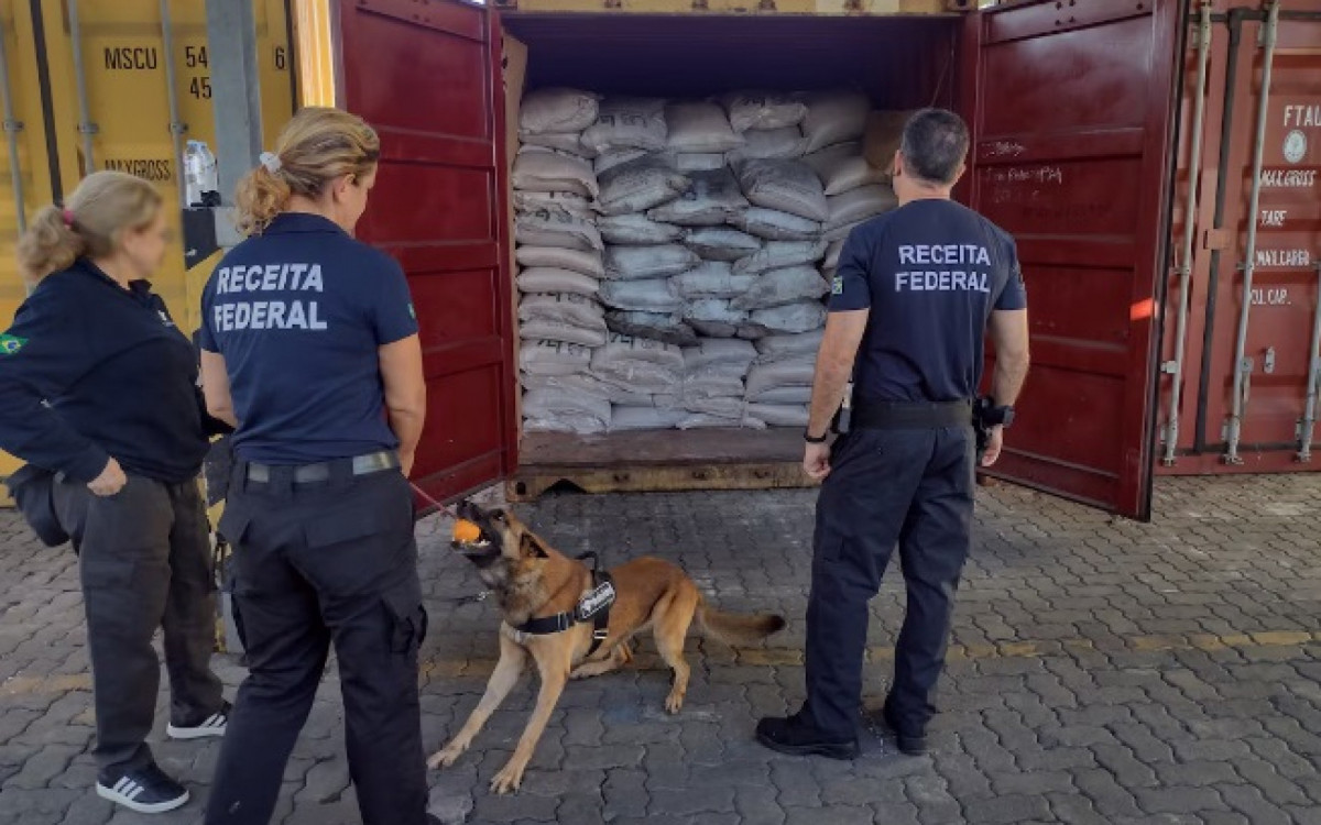 Cocaína em carga de açúcar: Receita realiza maior apreensão do ano no Porto de Santos - Divulgação