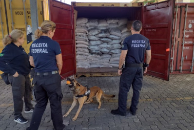Cocaína em carga de açúcar: Receita realiza maior apreensão do ano no Porto de Santos