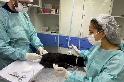 Hospital Veterinário de Caxias completa dois anos de funcionamento