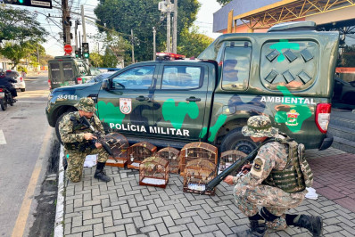 Aves são libertadas por Policiais Militares da 6ª Unidade de Patrulhamento Ambiental 