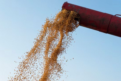 Produção de grãos deve recuar 6,6% e atingir 298,60 milhões de t na safra 2023/24, diz Conab