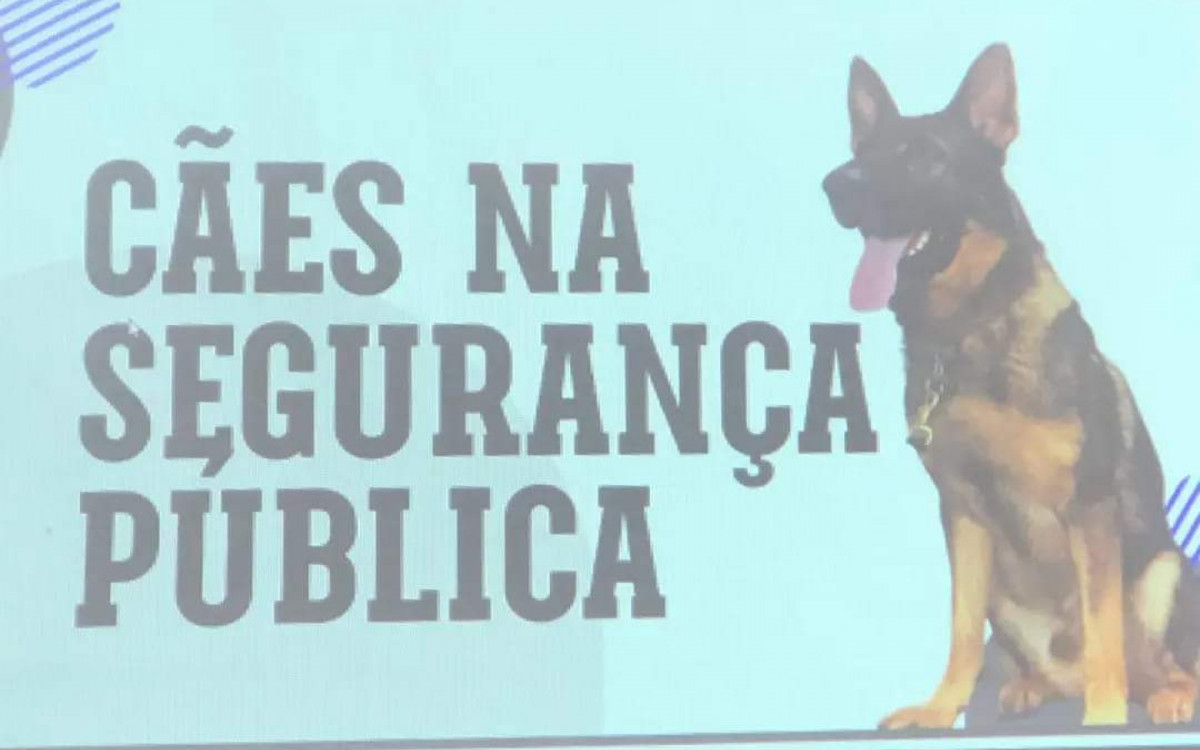 Apresentação do projeto e da cadela Bonnie