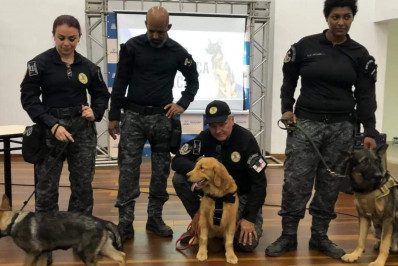 Arraial do Cabo inicia projeto de cinoterapia com cadela da Guarda Municipal