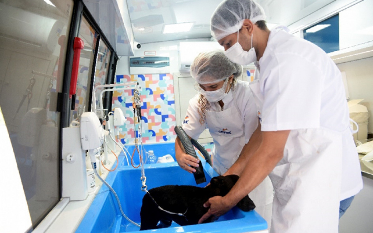 Oportunidades são para esteticistas que desejam lecionar