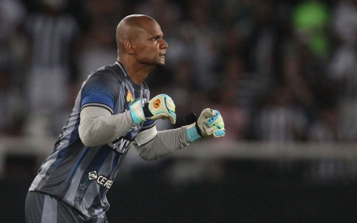 Jefferson

O goleiro era um dos grandes nomes do Botafogo quando foi convocado. Naquele ano, depois do Mundial, o Glorioso seria rebaixado pela Série B.

Mesmo com a queda, o goleiro ainda estava em alta, mas decidiu permanecer no Alvinegro e ajudou o time a retornar para a elite do futebol brasileiro. A partir de 2016, Jefferson começou a lidar com problemas físicos, porém permaneceu no clube até a sua aposentadoria, em 2018. Ele parou como um dos ídolos da história do Botafogo.
