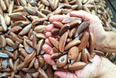 Comunidades tradicionais pedem ao governo e Congresso melhoria no Pnae