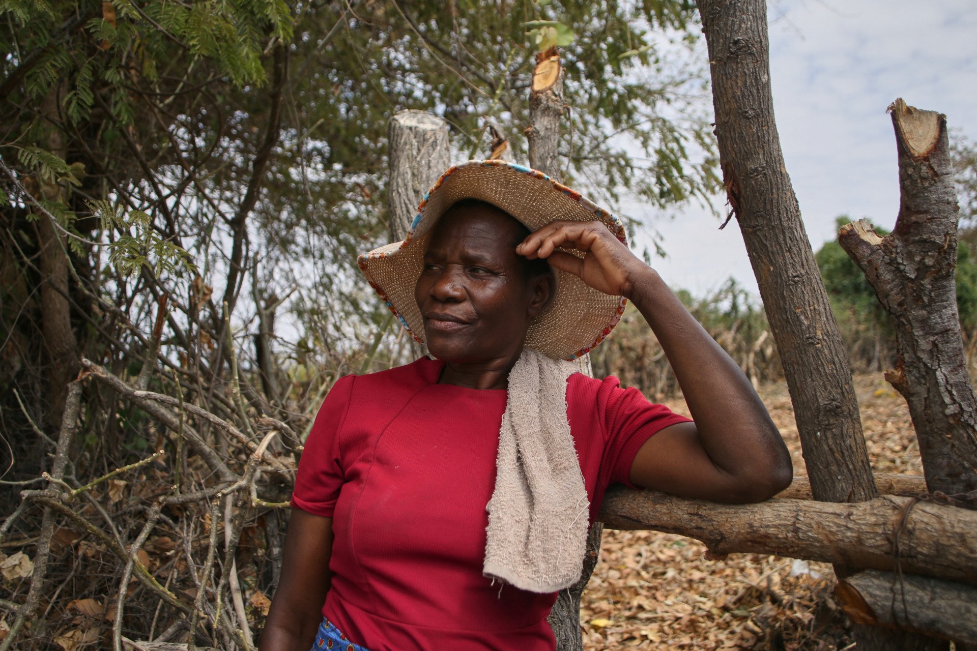 Georgina Kwengwere trabalha com a colheita de alimentos - Jekesai Njikizana/AFP