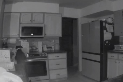 Vídeo: cachorro acende o fogão e causa incêndio em casa