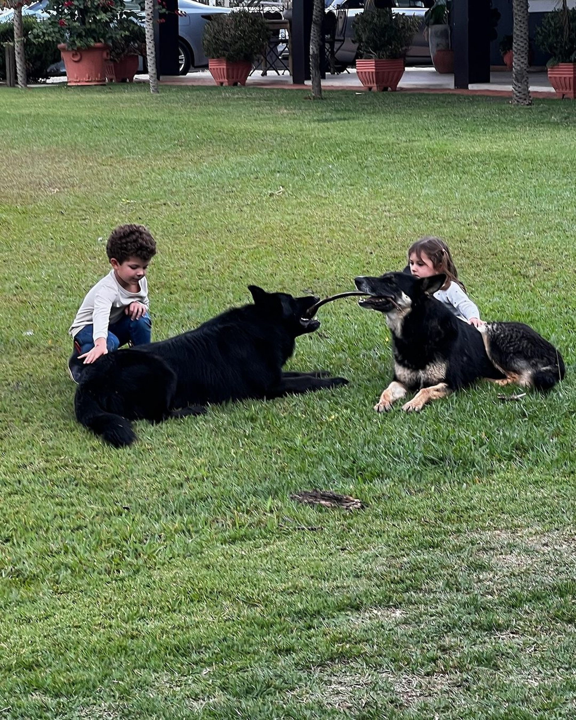 Fernanda Paes Leme reflete sobre rotina fora das redes sociais - Reprodução