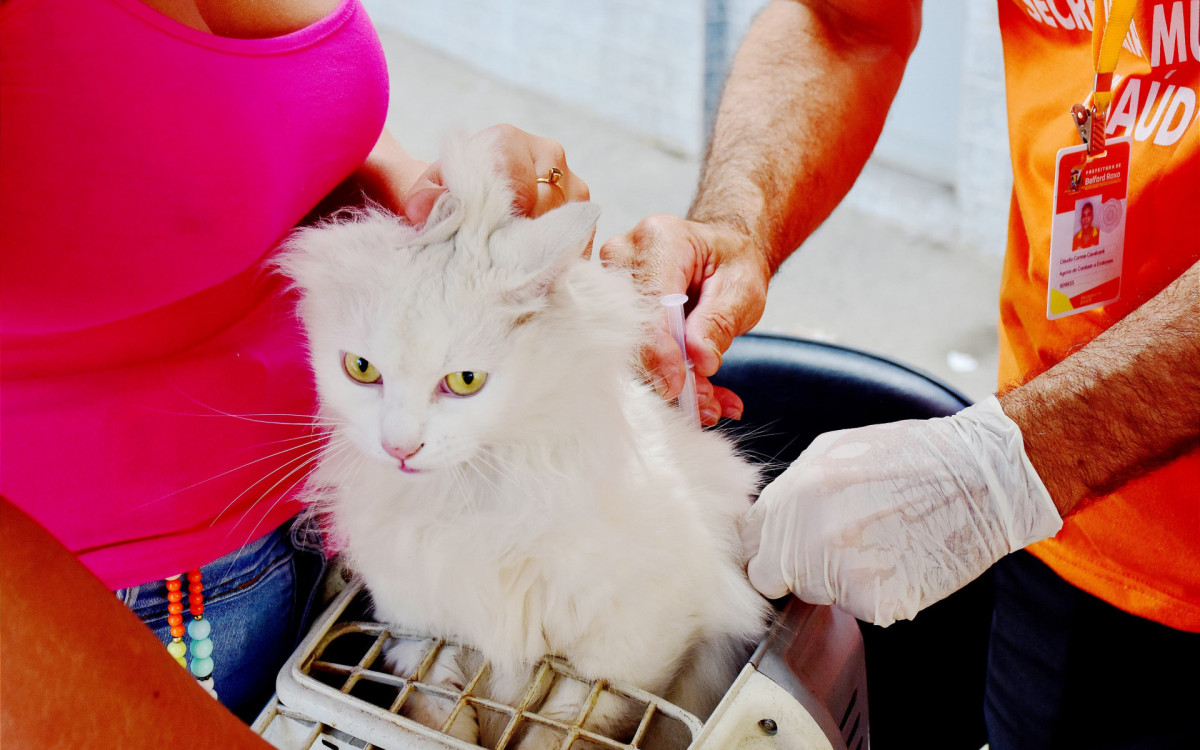 Durante a ação social na Prata, cães e gatos puderam ser vacinados contra  raiva