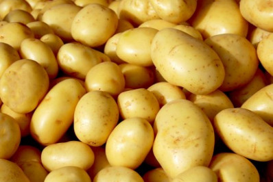 Preços da alface e da batata caem no atacado em janeiro, aponta Conab